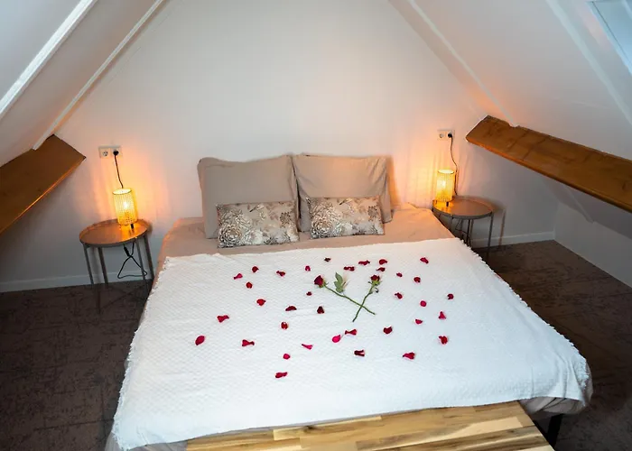 公寓式酒店 De Boelekeerl 3*