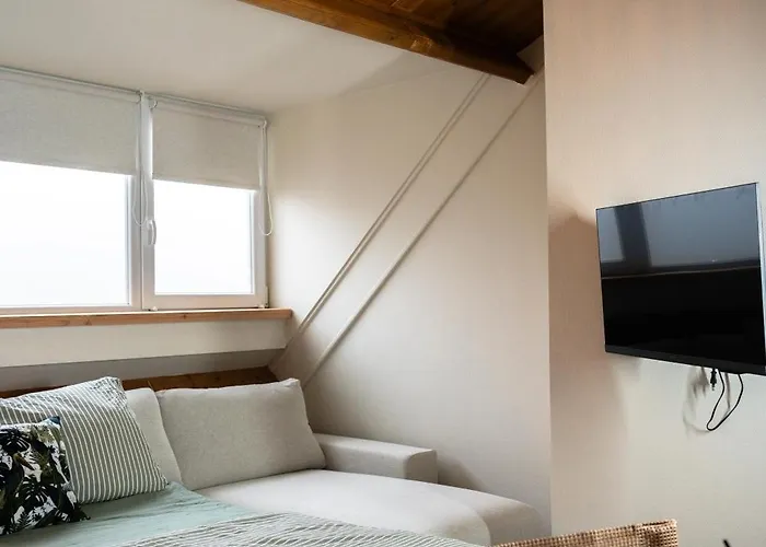 公寓式酒店 De Boelekeerl 3*